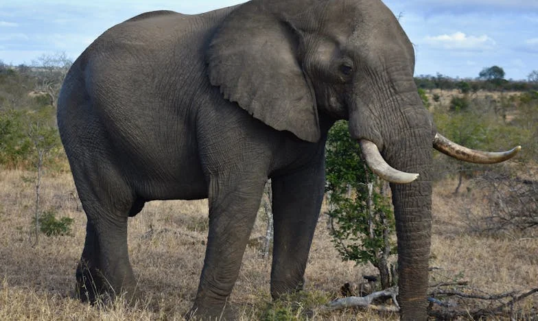 Колко струва една майка?