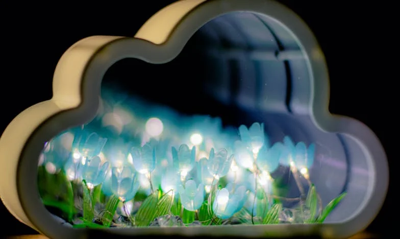 Между любовта и дълга: Историята на Мария и Димитър