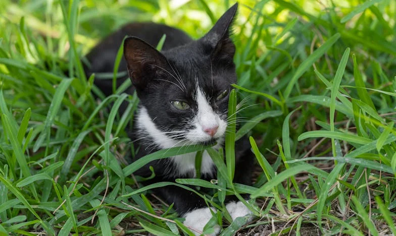 Молитвата, която ме спаси: Историята на една баба и нейната внучка