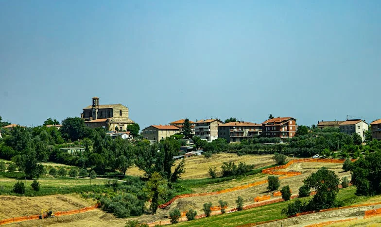 На ръба на търпението: Моята битка да ги изгоня от вкъщи