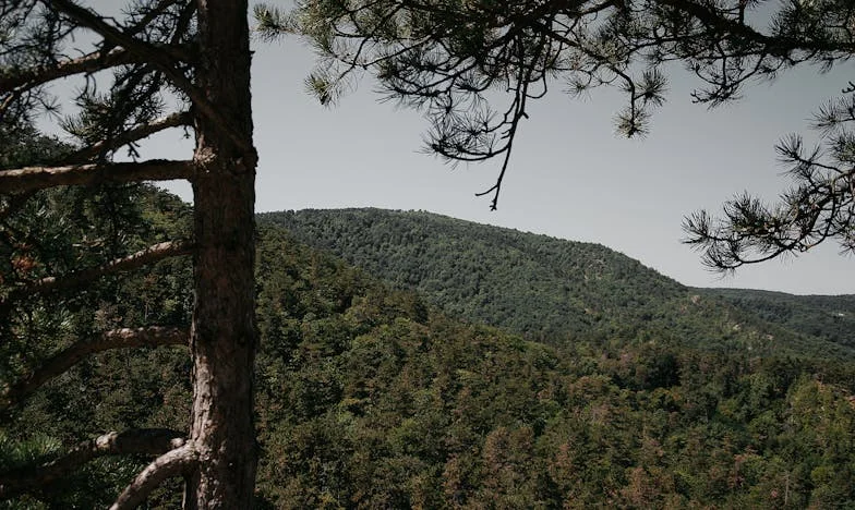 Пепел и белези: Историята на Магдалена от панелката