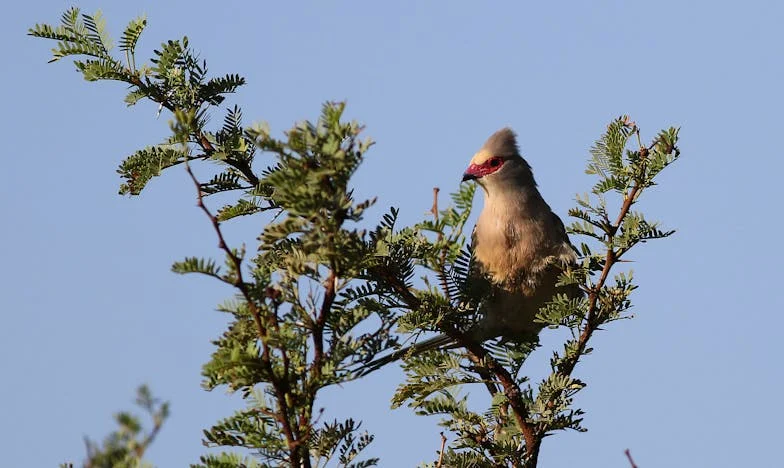 Писмото, което преобърна живота ми: История за предателство, сила и неочаквано възмездие