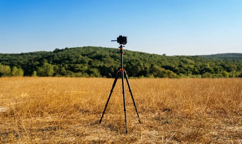 Подарих половината си дом на сина си, а сега съм му в тежест – заслужих ли това?