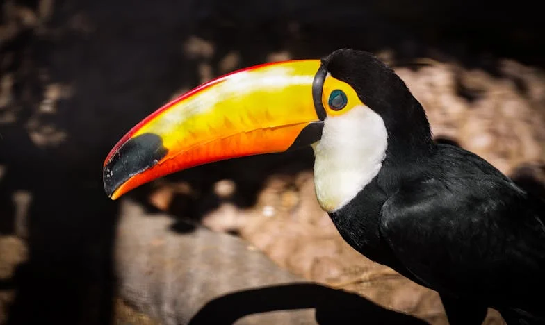 Пукнатина и помирение: Моят път към самостоятелността след развода