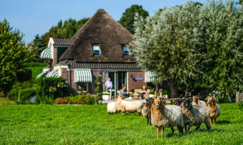 Разводът не беше достатъчен за бившия ми и майка му: Те обърнаха сина ми срещу мен и новия ми партньор