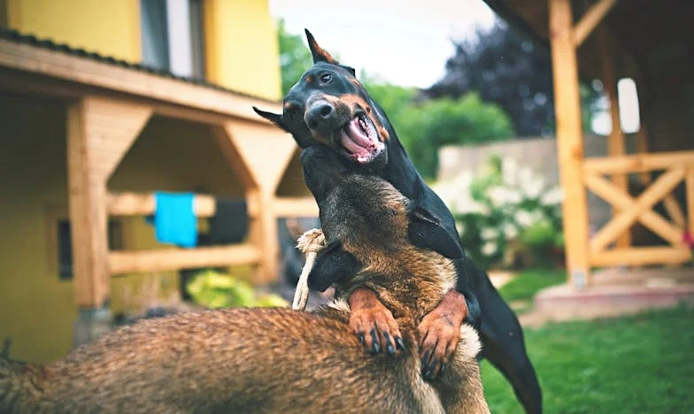 „Събери си багажа и се нанеси при нас!” – Как свекърва ми разруши брака ни след раждането на сина ни