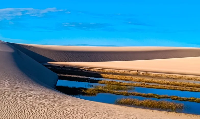 Сбогом, мамо... и на теб, лельо Мария: Последната ми благодарност