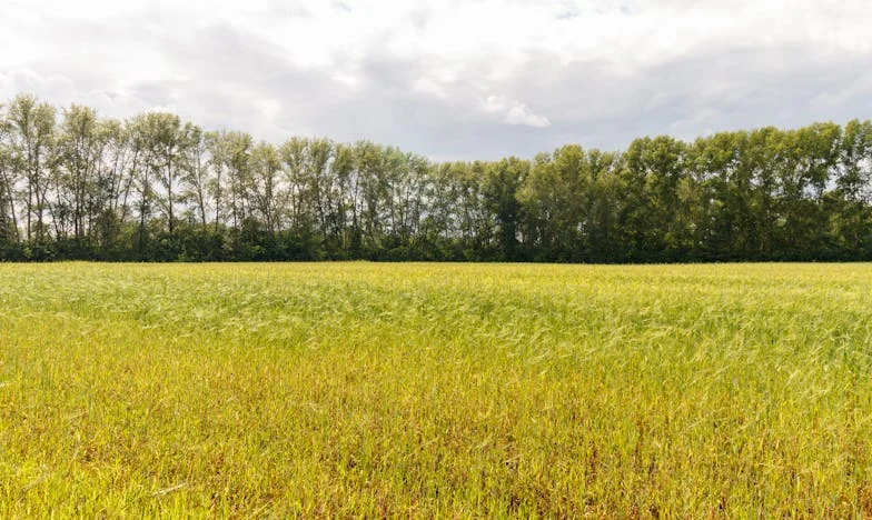 Седмица без сън: Как изчезна моят съпруг и светът ми се преобърна