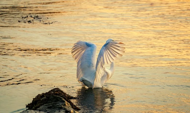 Свекървата ми Кора: История за любов, страх и прошка