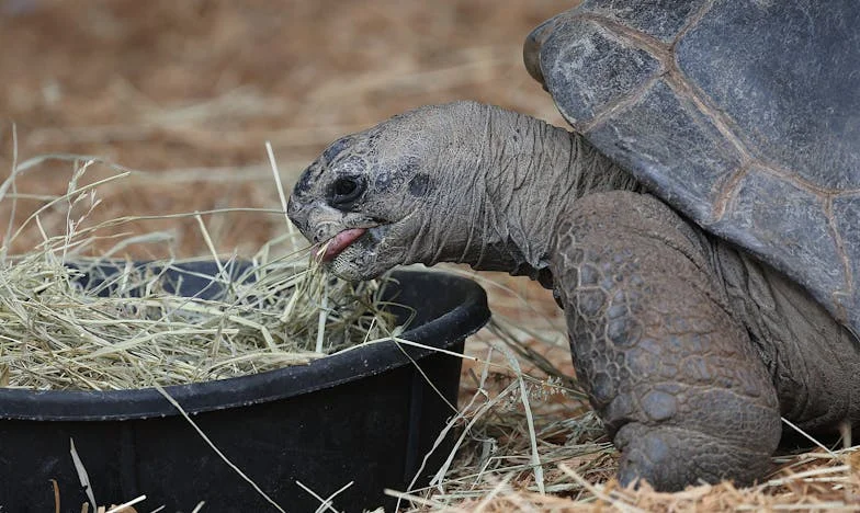 Тайна в телефона на мъжа ми: Късно ли е за истината?