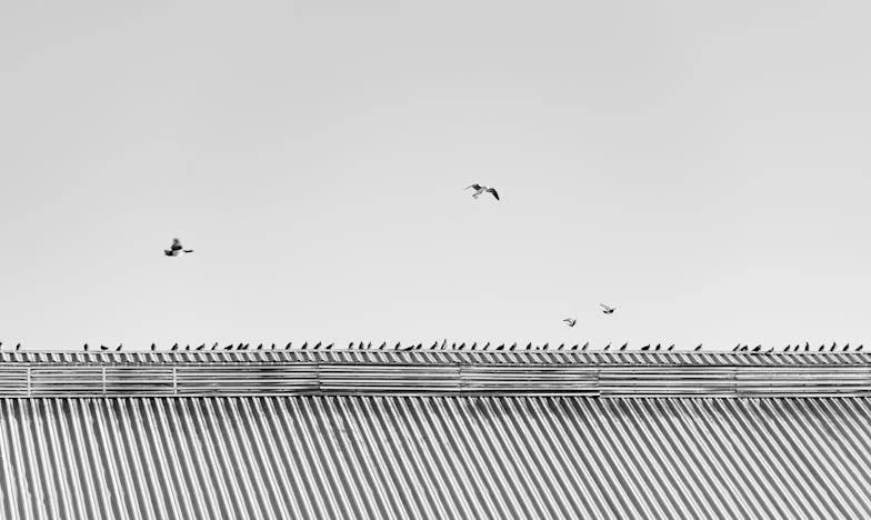 Татко казваше: „Остави, сине, това е мъжка работа“ – а аз се чудех къде е мястото ми