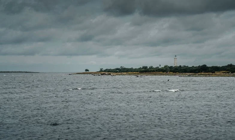 Вратата, която остана затворена: Историята на една дъщеря