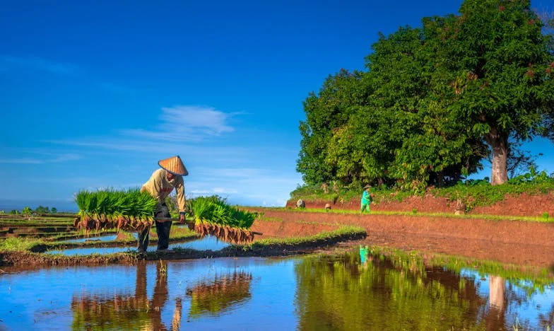Защо не давам ключ на майка ми: История за контрол, болка и прошка
