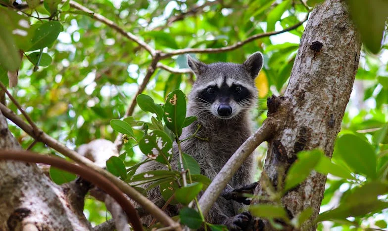 Защо не мога да се омъжа на 57? Историята на една майка между любовта и доверието