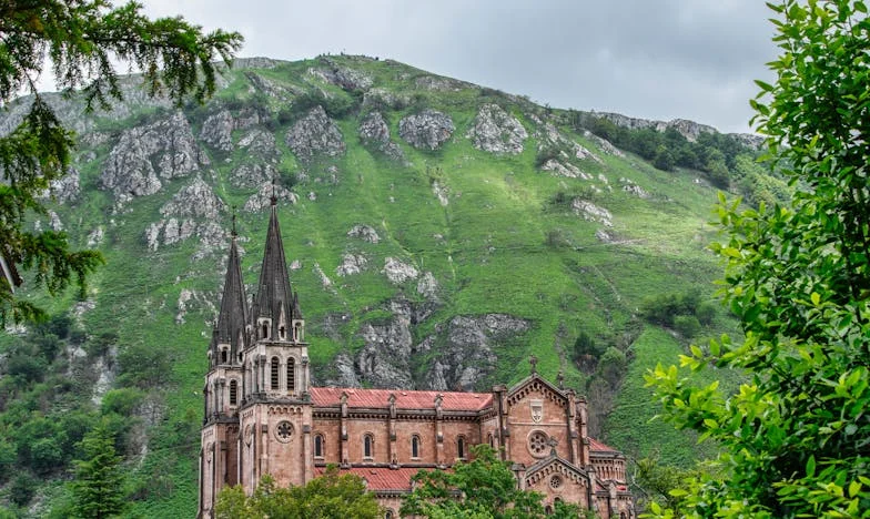 Завещанието на свекърва ми: Истината, която разтърси семейството ни