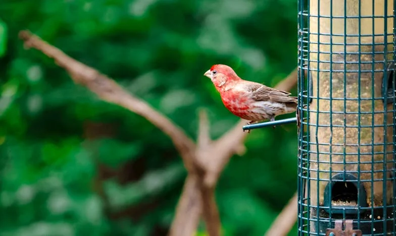 Живот след петдесет: Когато миналото се върне и всичко се преобърне
