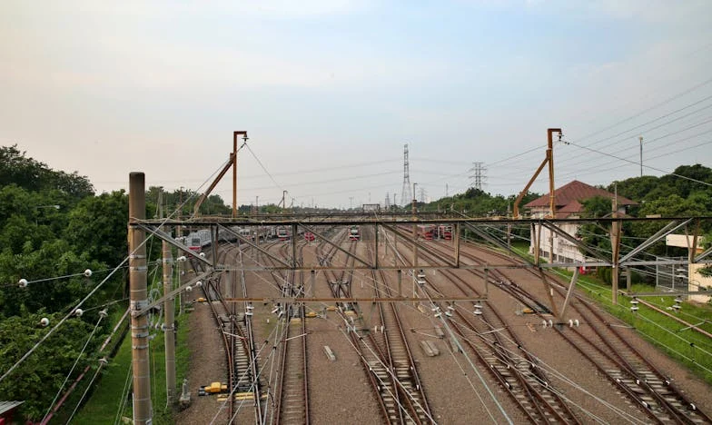 Един бъбрек, два живота: Любов, загуба и надежда на ръба на отчаянието