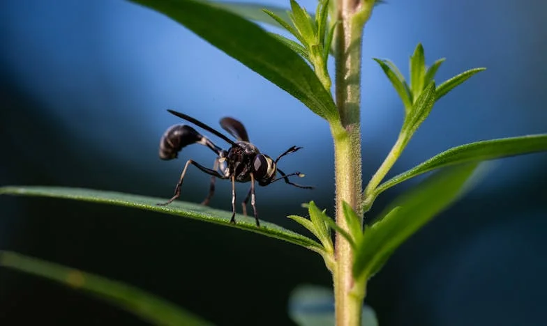 „Готвенето не е мъжка работа!“: Историята на една закуска, която промени всичко