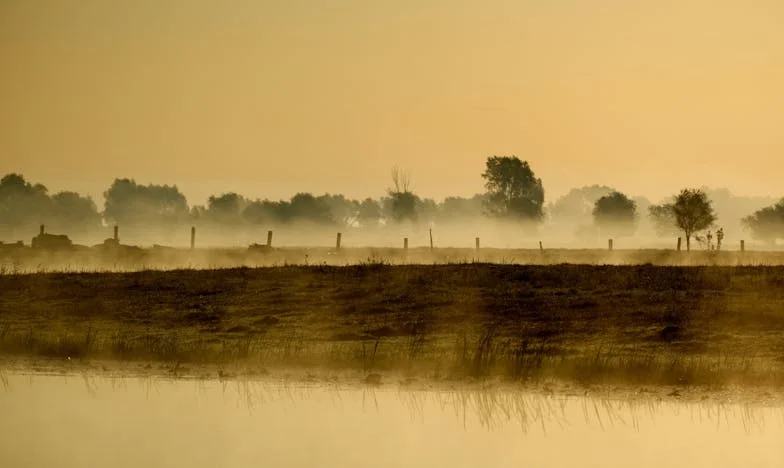 Хладилникът, който разби нашето семейство