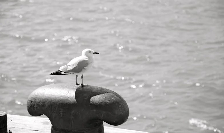 Когато дъщеря ми ме помоли да се нанеса: Истината, която изплува между стените на техния дом