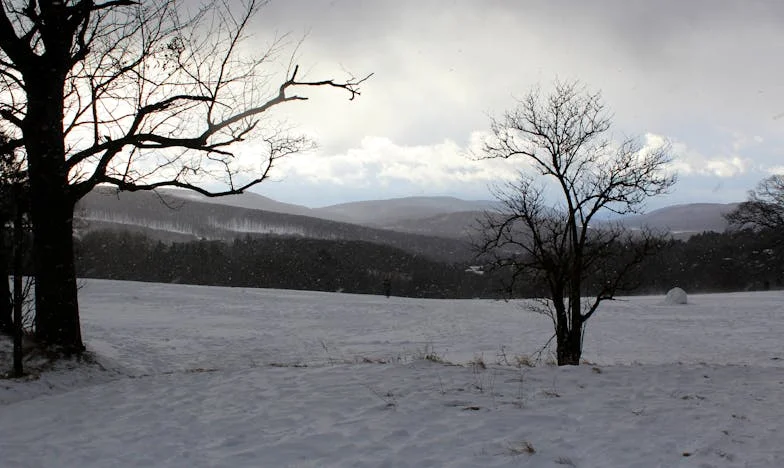 Когато дъщеря ми остана вдовица, а внучката ми не ѝ позволи да продължи напред – години по-късно ролите се размениха