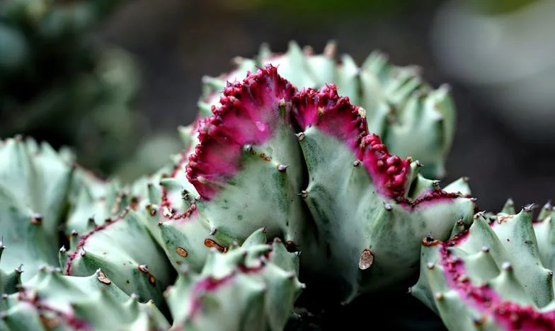 Когато децата пораснат и тишината остане: Историята на една майка