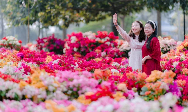 Когато домът не е дом: Историята на една сватба, една свекърва и една граница