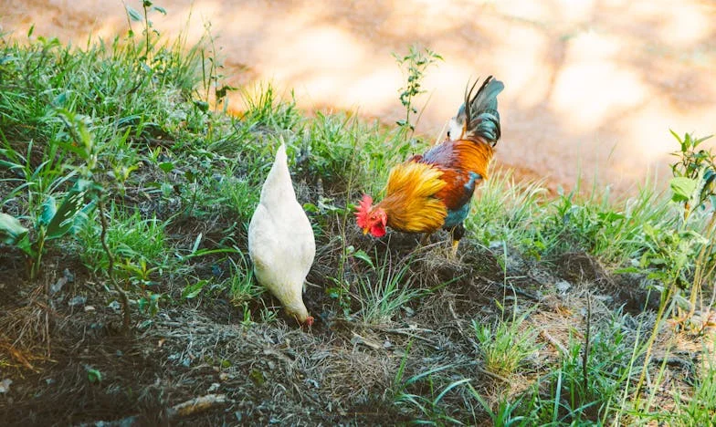 Когато думите болят повече от тишината: История за баща, любов и загуба