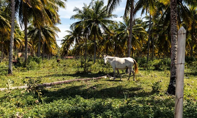 Когато любовта боли: Тайната, която преобърна живота ми