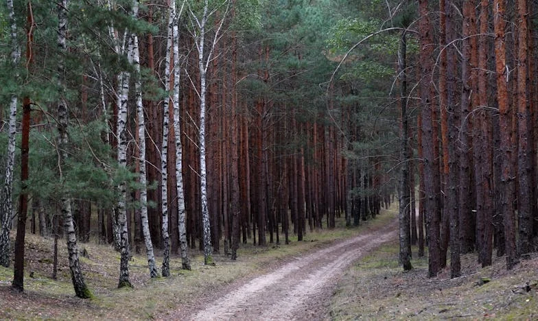 Когато светът ти се срути: Историята на една предадена съпруга