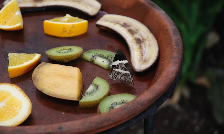 Между двата огъня: Когато съпругът ми се скара с моето семейство