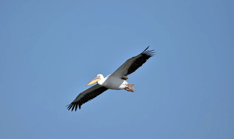 Минута закъснение, живот на ръба: Моята битка със свекървата в панелката