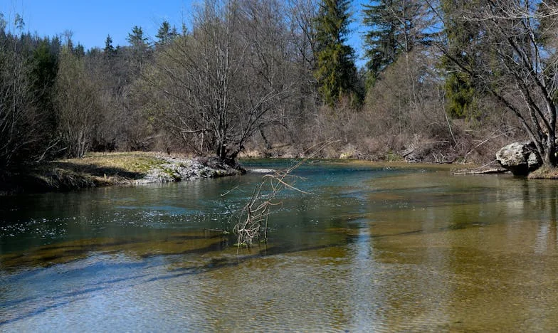 Непоколебимата ми борба да спася семейството на Иван