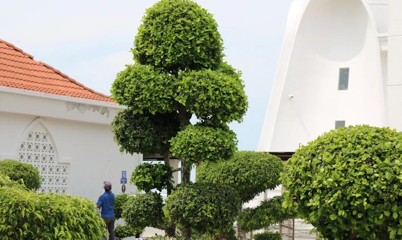 Невидимите напрежения: Когато гостуванията се превръщат в бойно поле