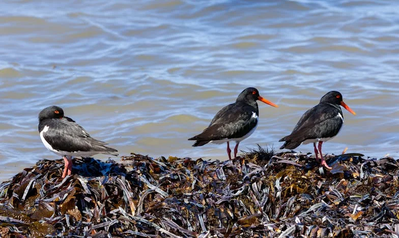 Оставих семейството си за друга жена и сега съжалявам: Историята на един българин