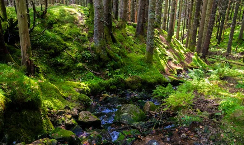 Отчуждението: Как брат ми Йордан се превърна в непознат заради жена си и тъща си