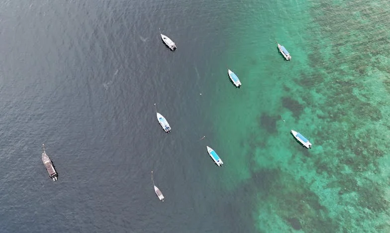 Отхвърлена след новината за бременността: Десет години по-късно родителите ми поискаха помощ