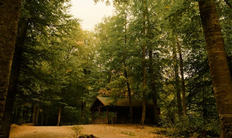 Пет години по-късно: Животът ми след неговата изневяра