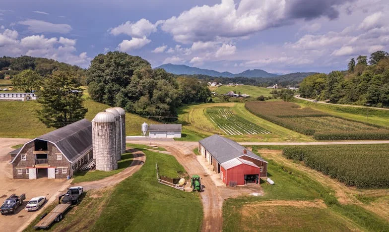 Разбито огледало: Ивоната битка с предателството