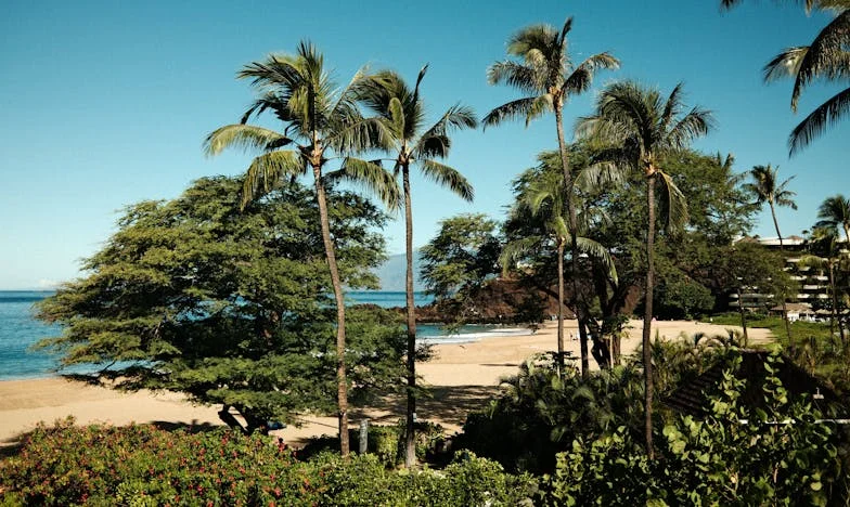 Съседът ми носи цветя и шоколади, а съпругът ми е бесен: Грешно ли е да приема този жест?