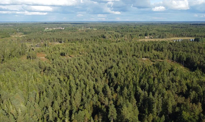 Шестдесетият ми рожден ден и един плик, който разби живота ми