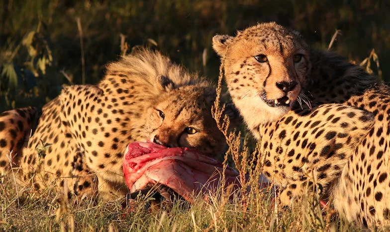 След развода си обещах никога повече да не обичам. Но той ме научи отново да слушам сърцето си