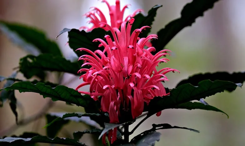 Тишината между нас: Истината, която не исках да знам