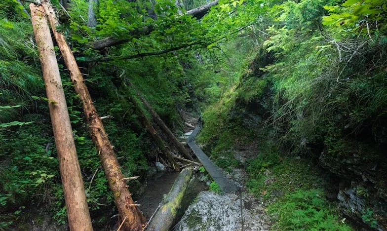 Тридесет години мълчание, един вик – история за предателството, което разкъса семейството ми