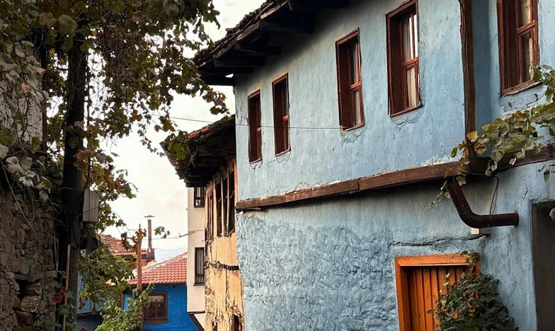 „Айде да си разделим сметката“: Вечерята, която преобърна живота ми