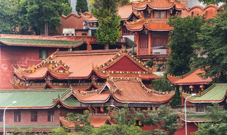 Без люлка, без пелени: Завръщането у дома, което преобърна всичко