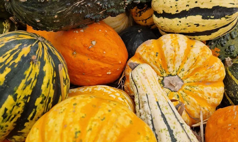 Братска услуга или семейно задължение? – Историята на един братски конфликт