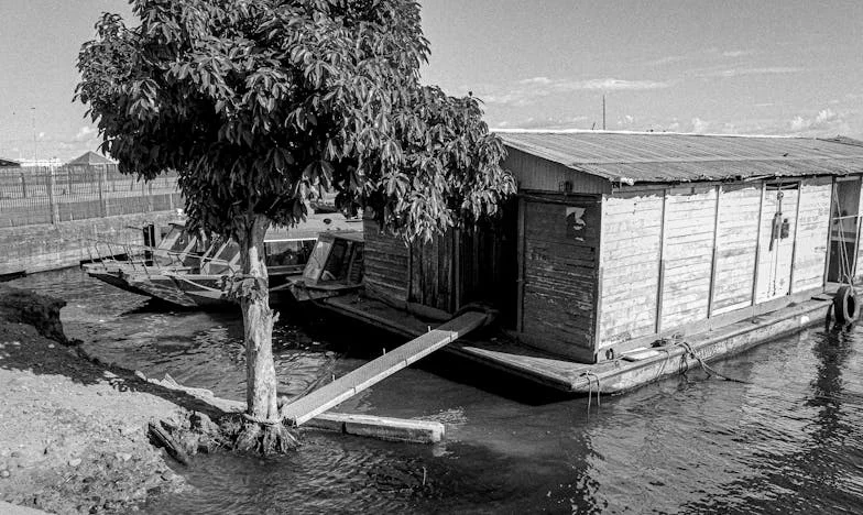 Достатъчно! Моят дом не е хотел: Историята на едно семейство и границите