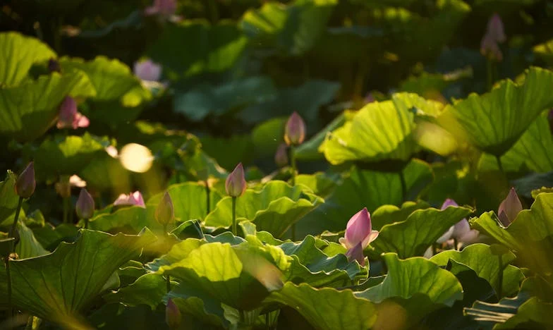 Една събота, която преобърна живота ми – Историята на една възрастна жена в супермаркета