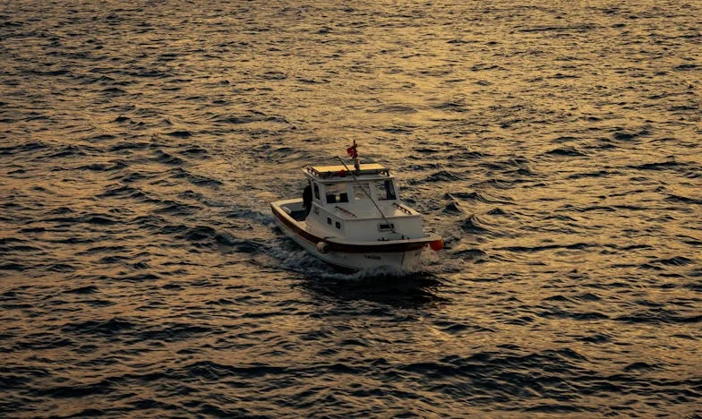 Гостите радват два пъти: как брат ми превърна уикенда в изпитание на търпението